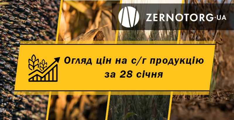 Ціни на зернові та олійні — огляд за 28 січня від Zernotorg.ua