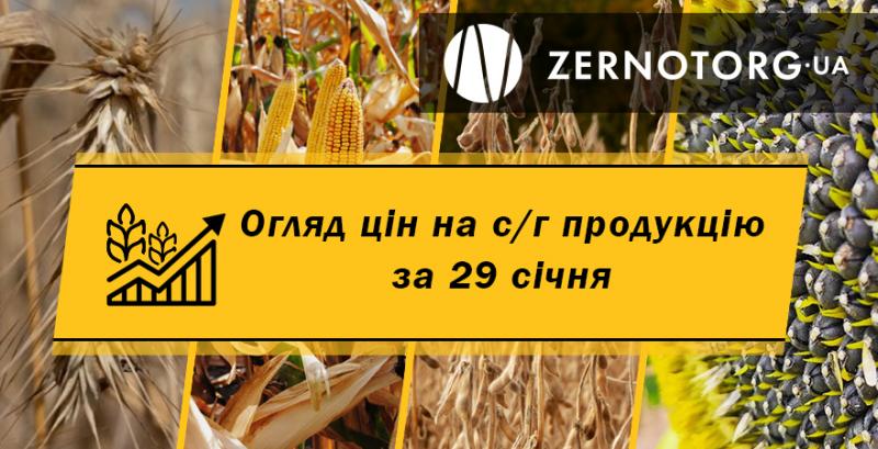 Ціни на с/г продукцію — огляд за 29 січня від Zernotorg.ua