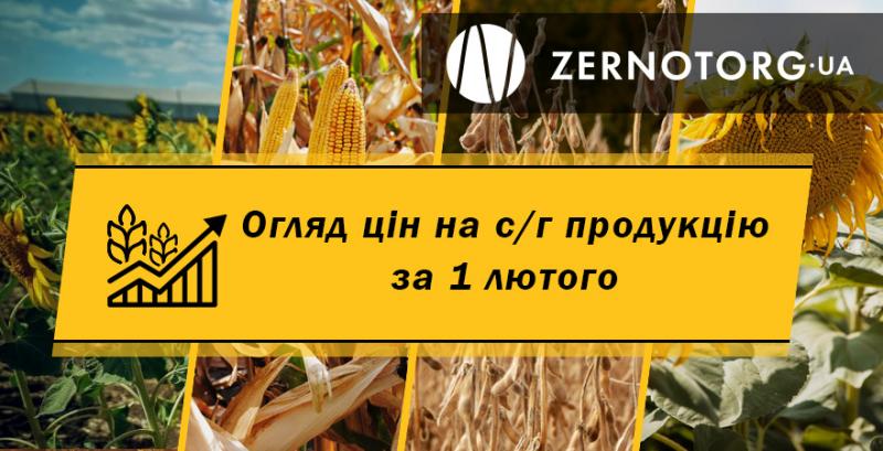 Ціни на зернові та олійні — огляд за 1 лютого від Zernotorg.ua