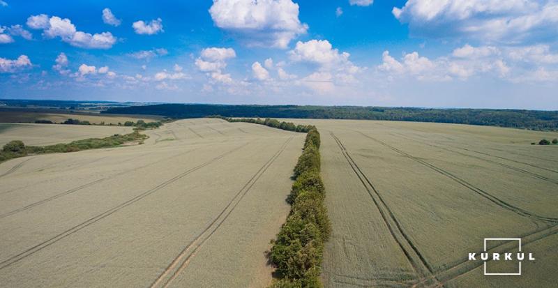 Запуск земельної реформи має бути пріоритетним завданням у Мінагропрод — Лещенко