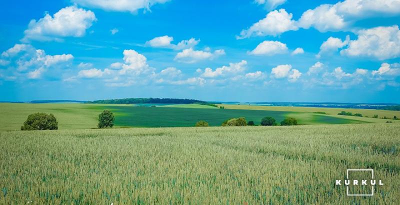 Фермерам буде вигідніше орендувати землю ніж купувати — думка