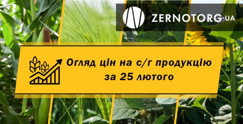 Ціни на зернові та олійні — огляд за 25 лютого від Zernotorg.ua