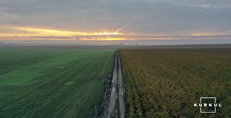 Після запуску ринку землі українці втратять право на отримання безкоштовної земельної ділянки