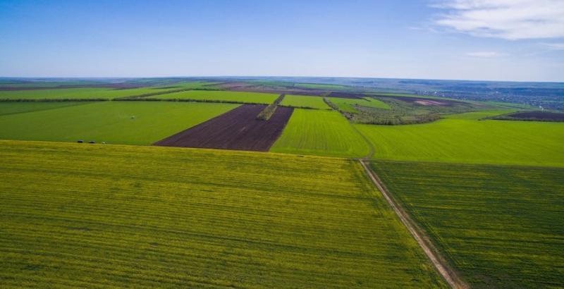 Як оформити право на пай, щоб його не втратити — поради юристів