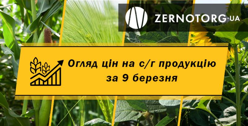 Як змінились ціни на зернові та олійні — огляд за 9 березня від Zernotorg.ua