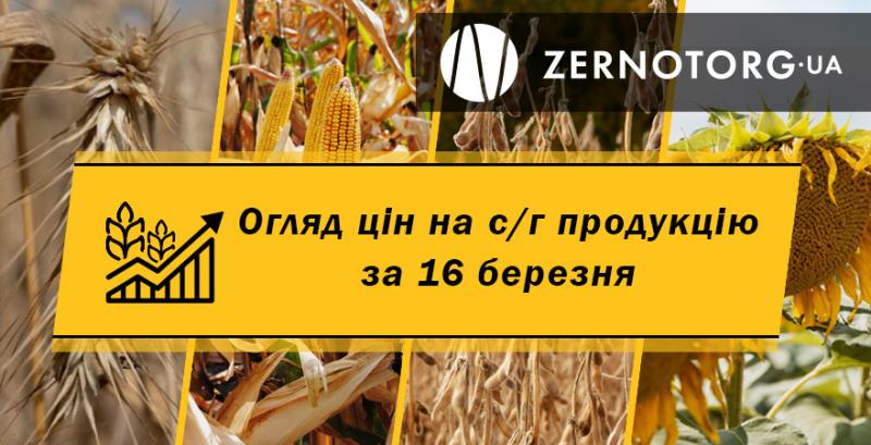 Як змінились ціни на зернові та олійні — огляд за 16 березня від Zernotorg.ua