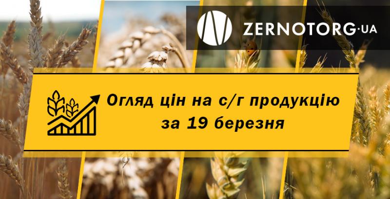 Ціни на с/г продукцію — огляд за 19 березня від Zernotorg.ua