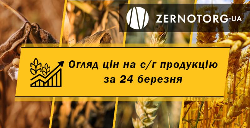 Ціни на зернові та олійні — огляд за 24 березня від Zernotorg.ua