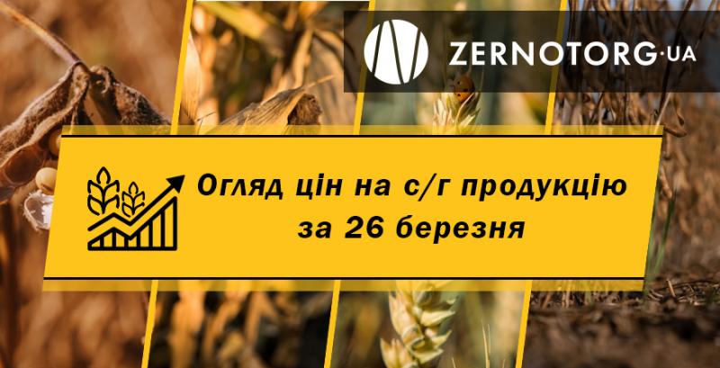 Ціни на соняшник знову зросли — огляд за 26 березня від Zernotorg.ua