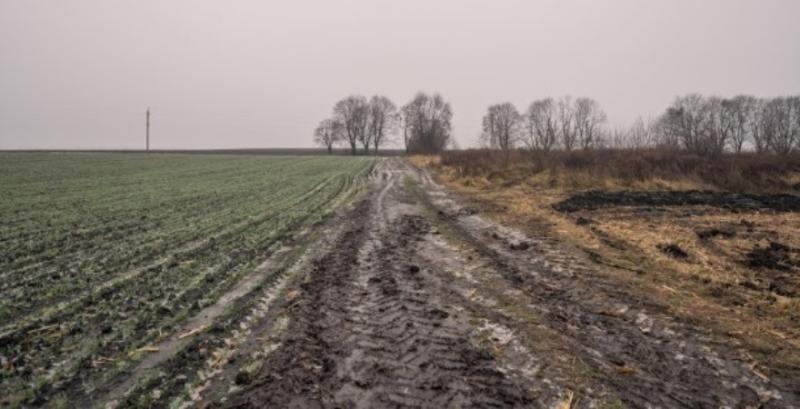 В Україні знизився рівень зволоження ґрунту — погодна аналітика