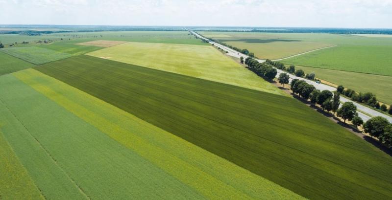 Територіальні органи Держгеокадастру не ліквідовуватимуть — постанова Кабміну