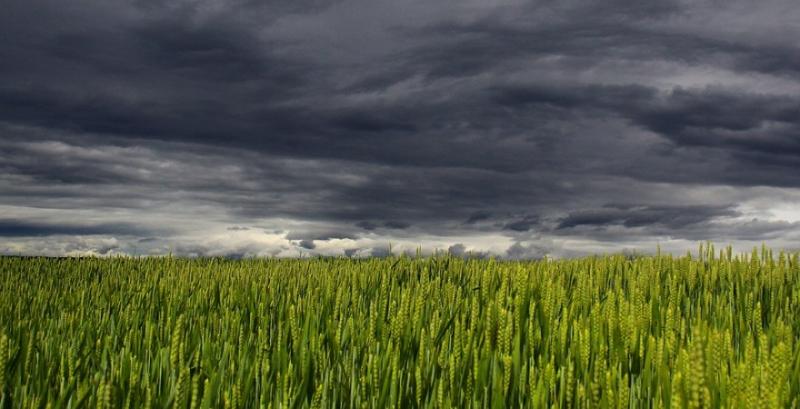 В Україні прогнозують суттєве погіршення синоптичної картини