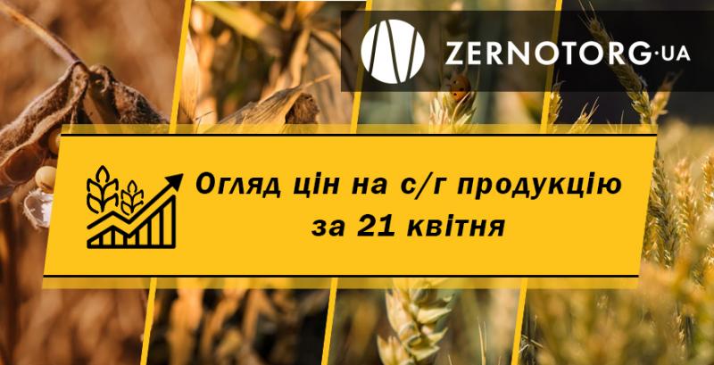 Ціни на зернові та олійні — огляд за 21 квітня від Zernotorg.ua