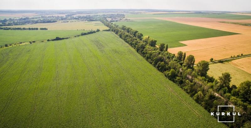 Компанія Агропродсервіс повідомила про інформаційну атаку конкурентів