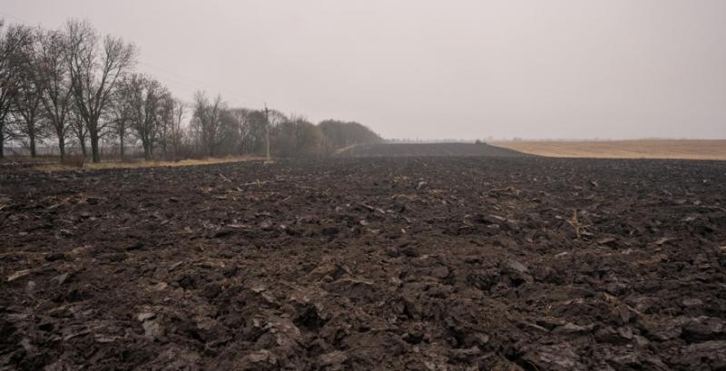 Рада ухвалила законопроєкт щодо продажу землі через електронні аукціони