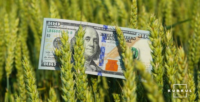 В США напередодні звіту USDA зросли ціни на сільгосппродукцію