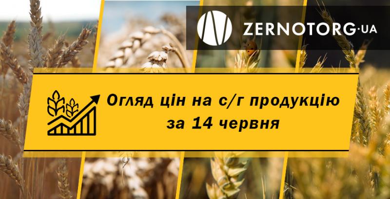 Ціни на с/г продукцію — огляд за 14 червня від Zernotorg.ua