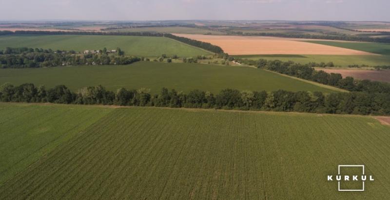 Перед відкриттям ринку землі аграріям необхідно встановити максимальні строки оренди землі — експерт