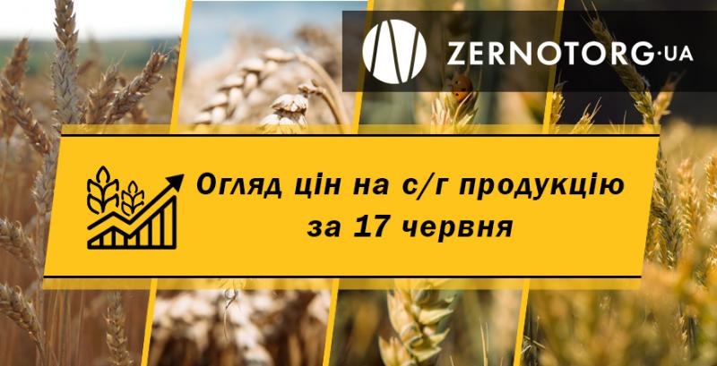 Ціни на с/г продукцію — огляд за 17 червня від Zernotorg.ua