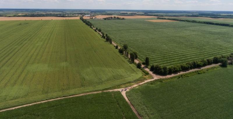 За аграріями закріплять переважне право викупу земельних ділянок