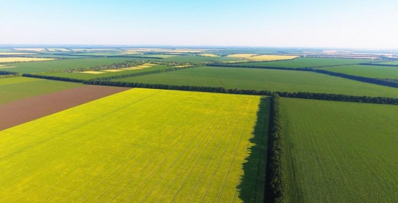 Запуск ринку землі: названо умови купівлі-продажу аграрної землі