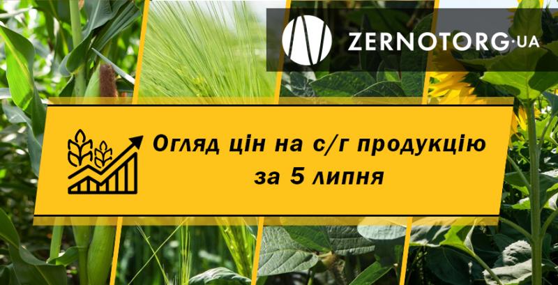 Ціни на зернові та олійні — огляд за 5 липня від Zernotorg.ua