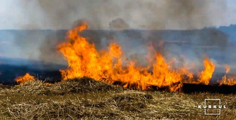 На Херсонщині у фермера вже вчетверте загорілось поле з зерновими