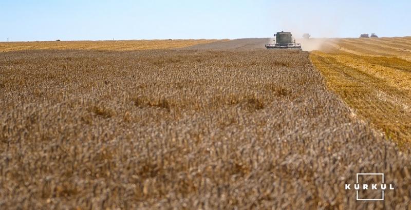 На Полтавщині збирають врожай зернових висаджених за технологією No-Till