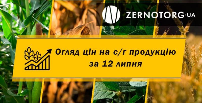 Ціни на с/г продукцію — огляд за 12 липня від Zernotorg.ua