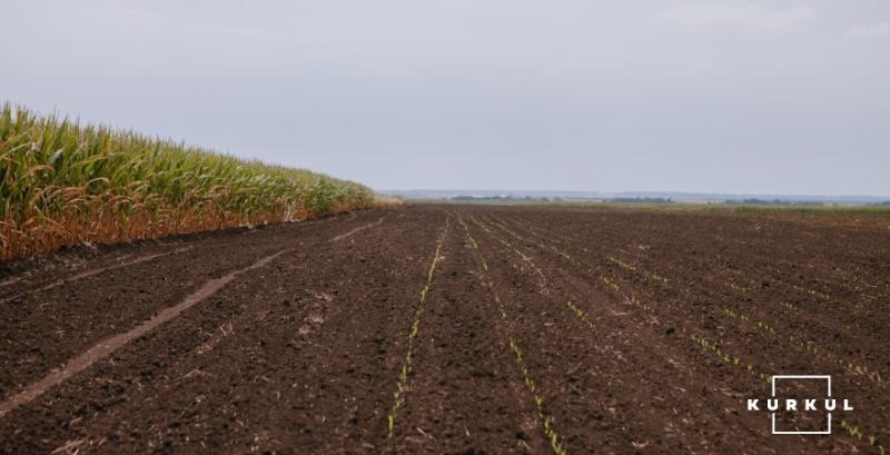 За 11 днів від початку ринку землі укладено 532 земельні угоди