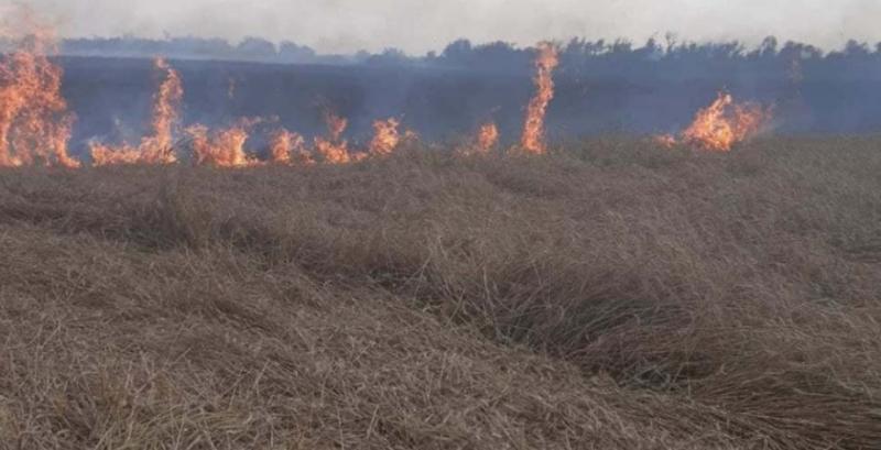 Через удар блискавки на Одещині загорілось пшеничне поле