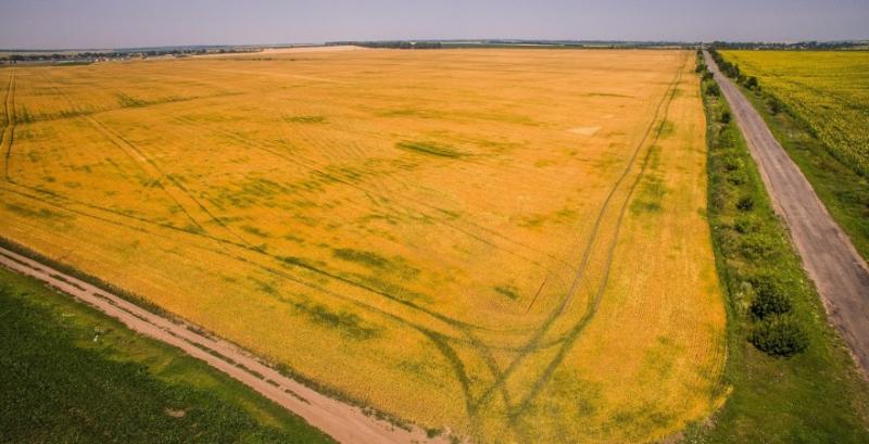 В Україні від старту ринку здійснили угоди щодо 2,4 тисяч га землі