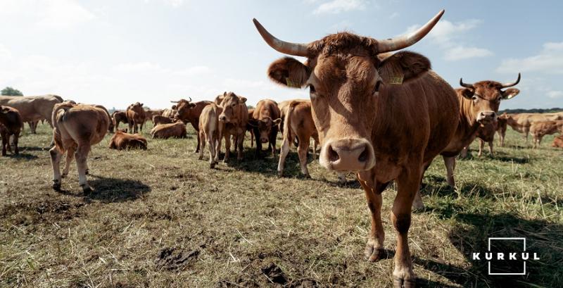 На Львівщині позитивна тенденція збільшення виробництва с/г продукції