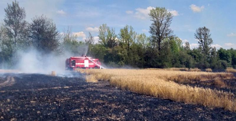 На Хмельниччині від вогню врятували 65 га пшениці