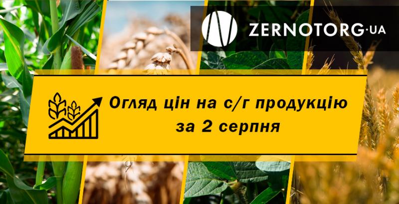 Ціни на зернові зросли — огляд за 2 серпня від Zernotorg.ua