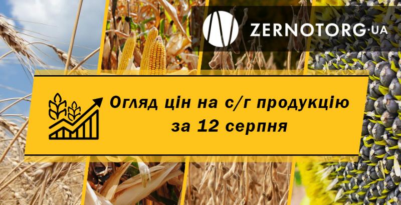 Ціни на зернові та олійні — огляд за 12 серпня від Zernotorg.ua