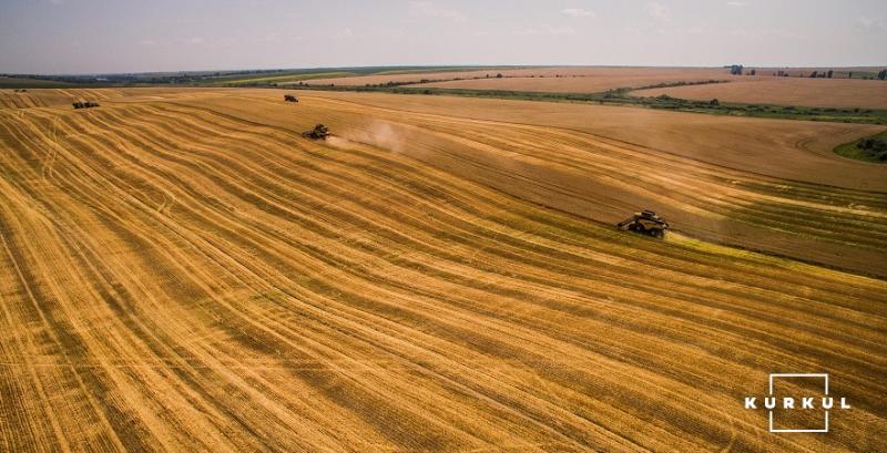 Аграрії Харківщини завершують жнива ранніх зернових з врожайністю 4,7 т/га