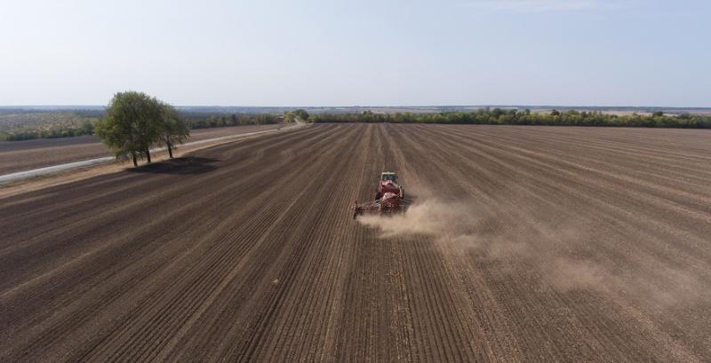 На Волині розпочали посів озимого ріпаку під врожай 2022 року