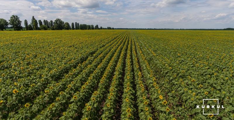 Названо області-лідери за здійсненням земельних операцій