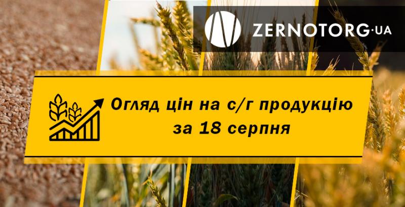 Ціна пшениці досягнула рекордного рівня з 2013 року — огляд за 18 серпня від Zernotorg.ua