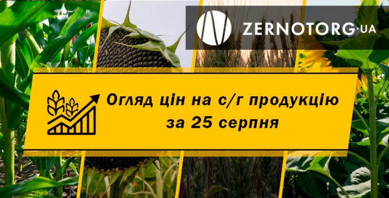 В Україні дешевшають зернові — огляд за 25 серпня від Zernotorg.ua