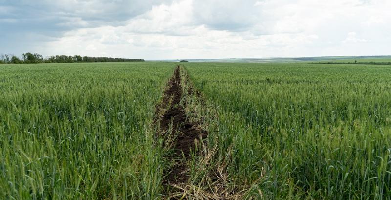 На Дніпропетровщині невідомі незаконно зайняли сільгоспділянку