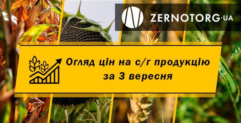 Ціни на зернові та олійні — огляд за 3 вересня від Zernotorg.ua