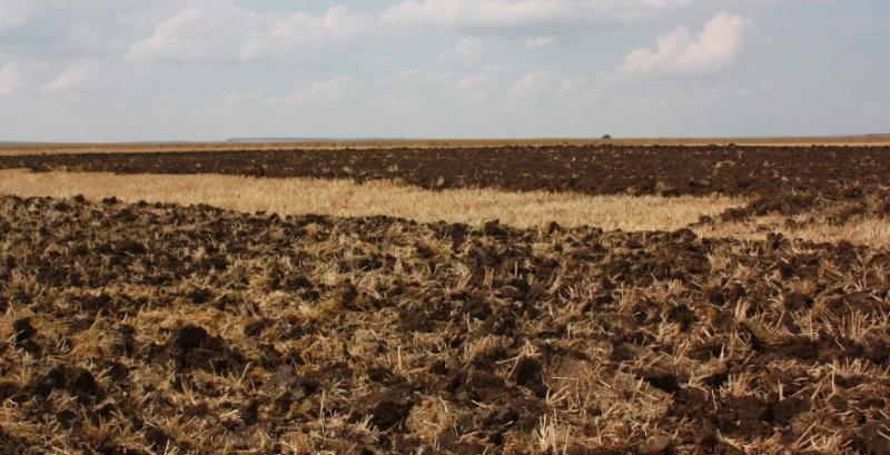 За добу найбільше земельних операцій здійснили на Полтавщині