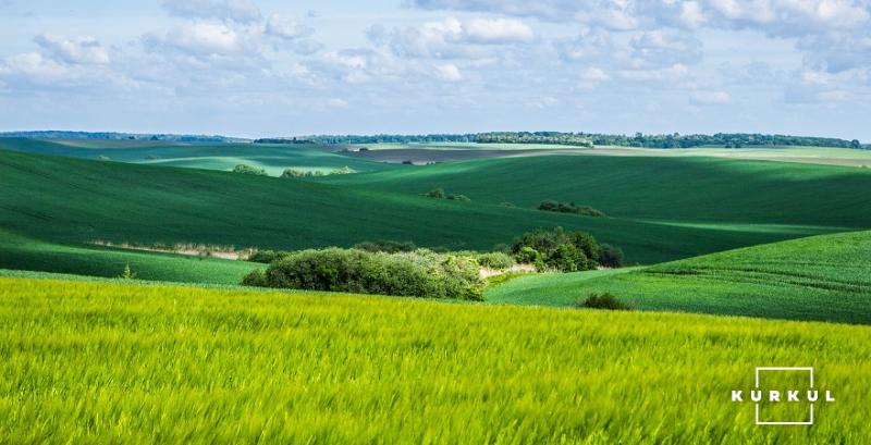 Земельна ділянка