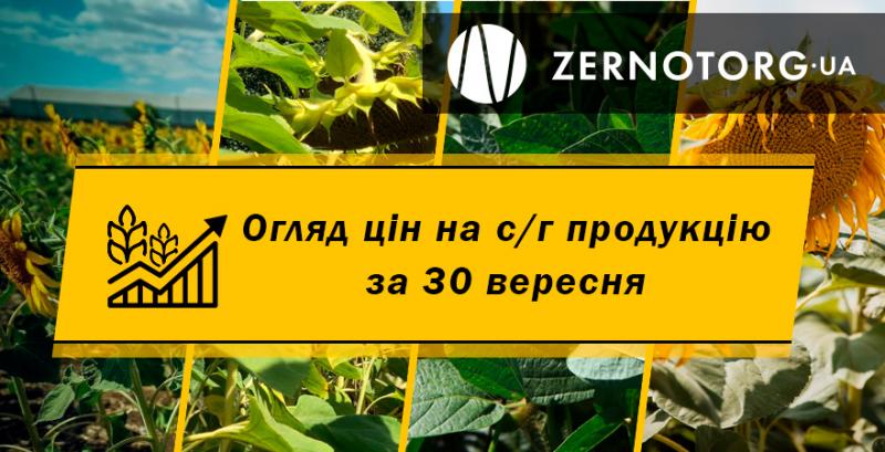 В Україні дорожчають олійні — огляд за 30 вересня від Zernotorg.ua