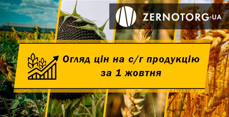 Вартість соняшнику зросла — огляд за 1 жовтня від Zernotorg.ua