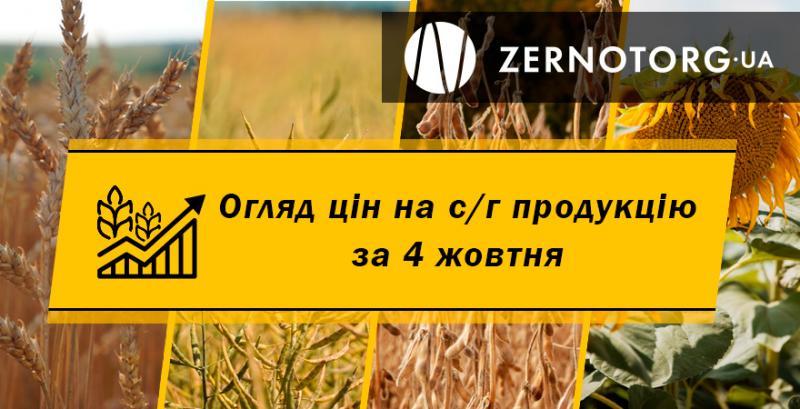 В Україні подорожчали зернові — огляд за 4 жовтня від Zernotorg.ua