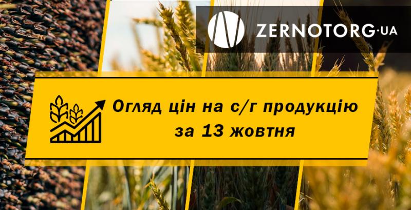 Вартість зернових не припиняє рости — огляд за 13 жовтня від Zernotorg.ua