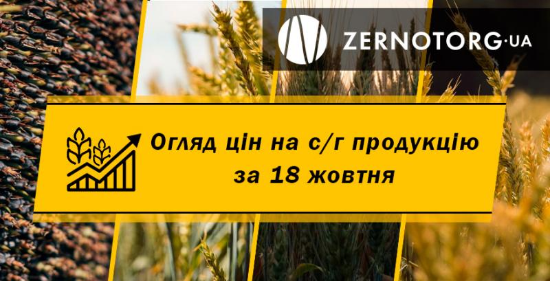 В Україні подорожчав ячмінь — огляд за 18 жовтня від Zernotorg.ua